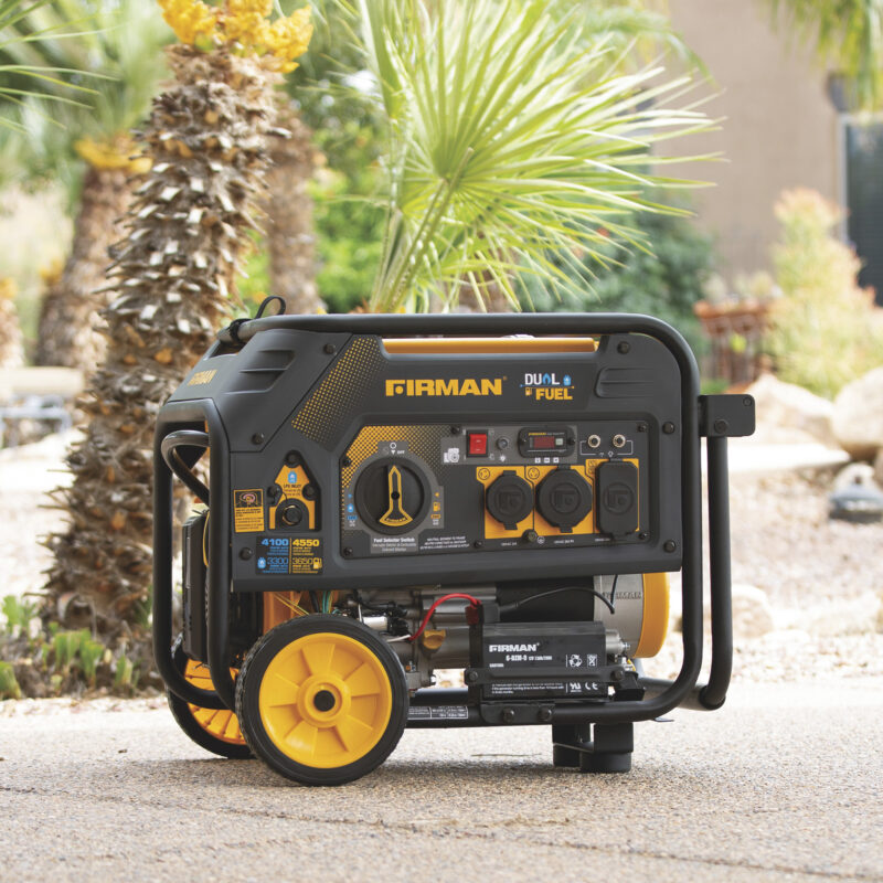 Firman Portable Dual Fuel Generator 45501