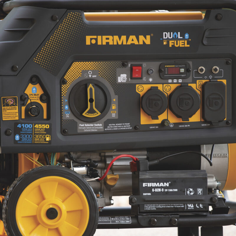 Firman Portable Dual Fuel Generator 45503