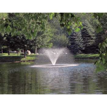 Scott Aerating Fountain 3/4 HP 230V 100Ft Power Cord