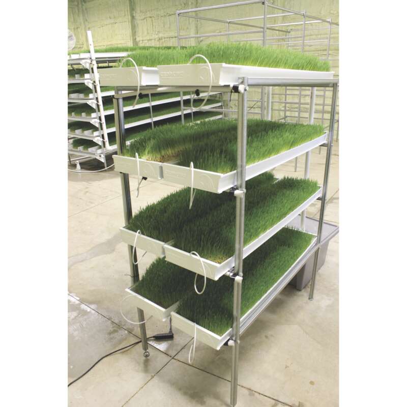 Fodder King 4 8 Hydroponic System 8 4ft L Channels