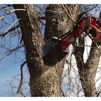 LimbSaw Hydraulic Bucket Chainsaw